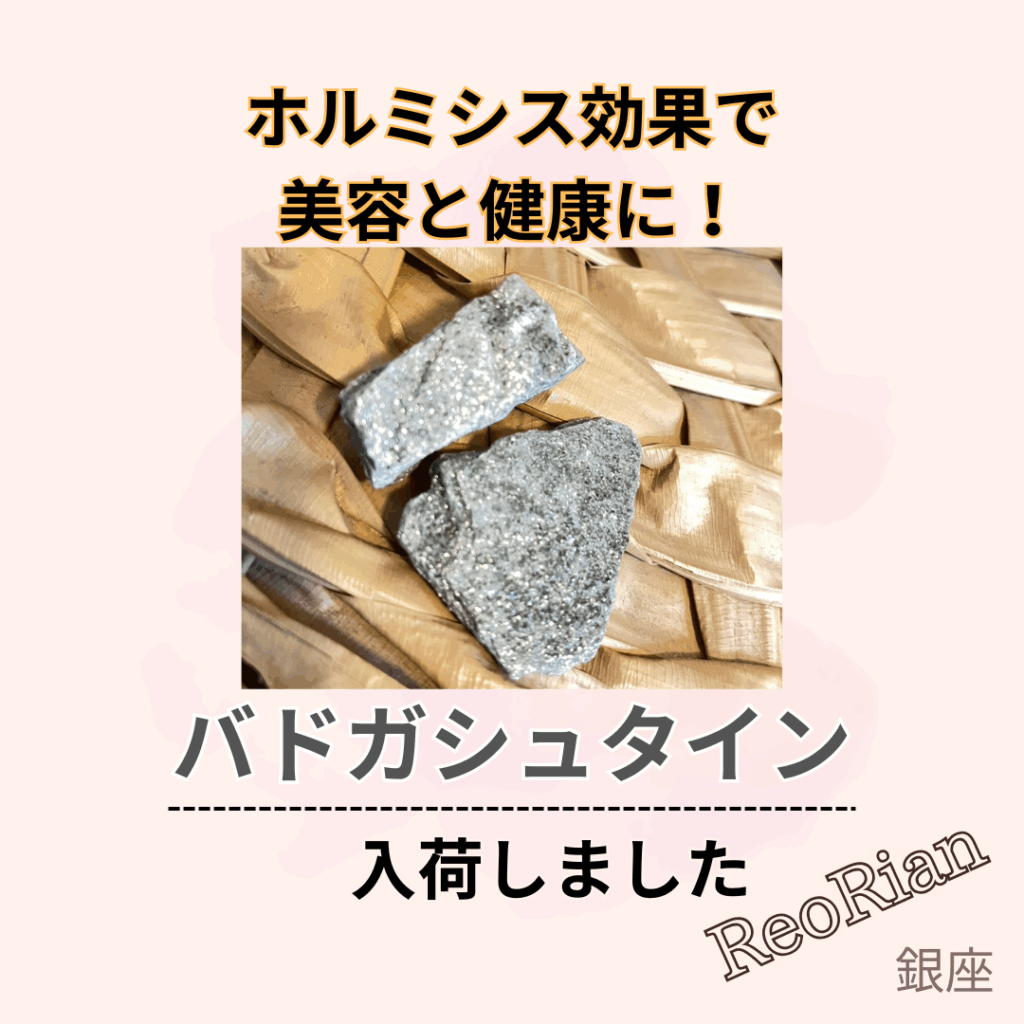 バドガシュタイン入荷しました