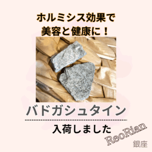 バドガシュタイン入荷しました