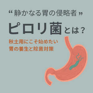 「静かなる胃の侵略者 ピロリ菌とは？」という日本語のタイトルが中央に大きく配置された教育的な画像。背景は淡いブルーで、右側にピンク〜コーラル系の胃のイラストが描かれており、内部には緑色のピロリ菌が示されている。下部には「秋土用にこそ始めたい 胃の養生と除菌対策」というサブタイトルと、「ReoRian-銀座-」のサロン名が控えめに表示されている。