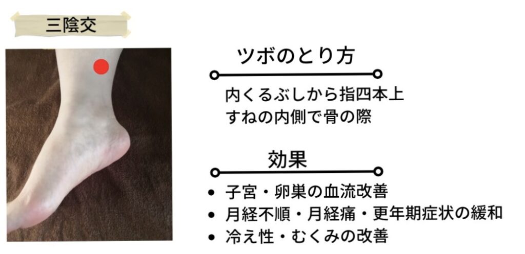 三陰交のツボ位置を示す図。内くるぶしから指4本分上、すねの内側の骨の際に赤い点で示されたツボ。子宮・卵巣の血流改善、月経不順・月経痛・更年期症状の緩和、冷え性・むくみの改善に効果があるとされる。