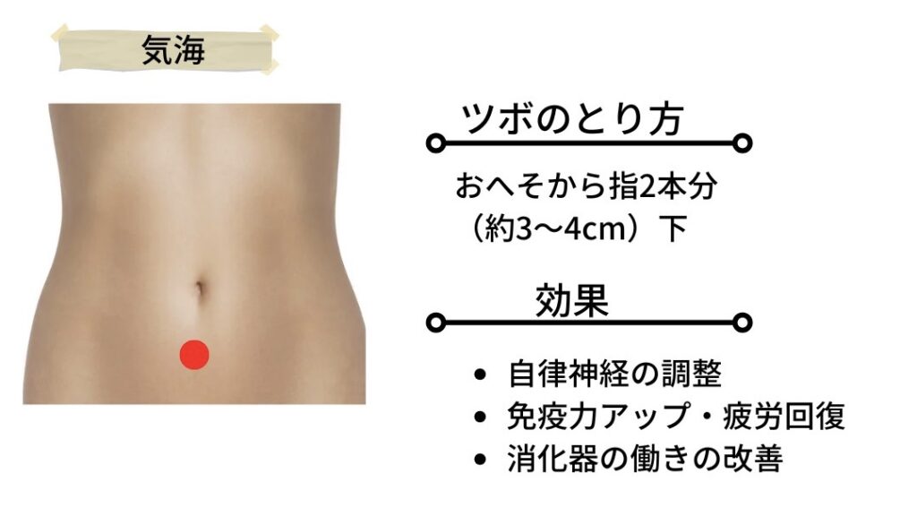 気海のツボ位置を示す図。おへそから指2本分（約3〜4cm）下の下腹部に赤い点で示されたツボ。自律神経の調整、免疫力の向上、疲労回復、消化器の働きの改善に効果があるとされる。
