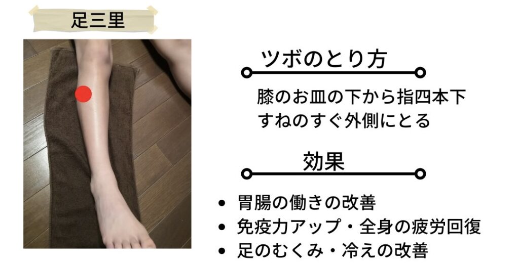 足三里のツボ位置を示す図。膝のお皿の下から指4本分下、すねの外側に赤い点で示されたツボ。胃腸の働きの改善、免疫力の向上、全身の疲労回復、足のむくみ・冷えの改善に効果があるとされる。