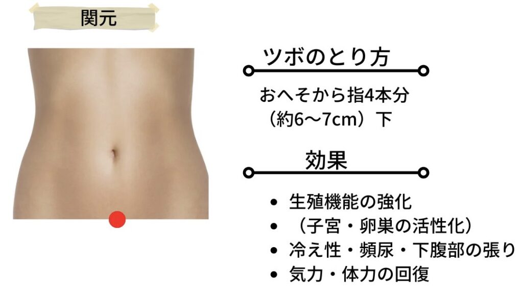 関元のツボ位置を示す図。おへそから指4本分（約6〜7cm）下の下腹部に赤い点で示されたツボ。生殖機能の強化（子宮・卵巣の活性化）、冷え性・頻尿・下腹部の張りの緩和、気力・体力の回復に効果があるとされる。