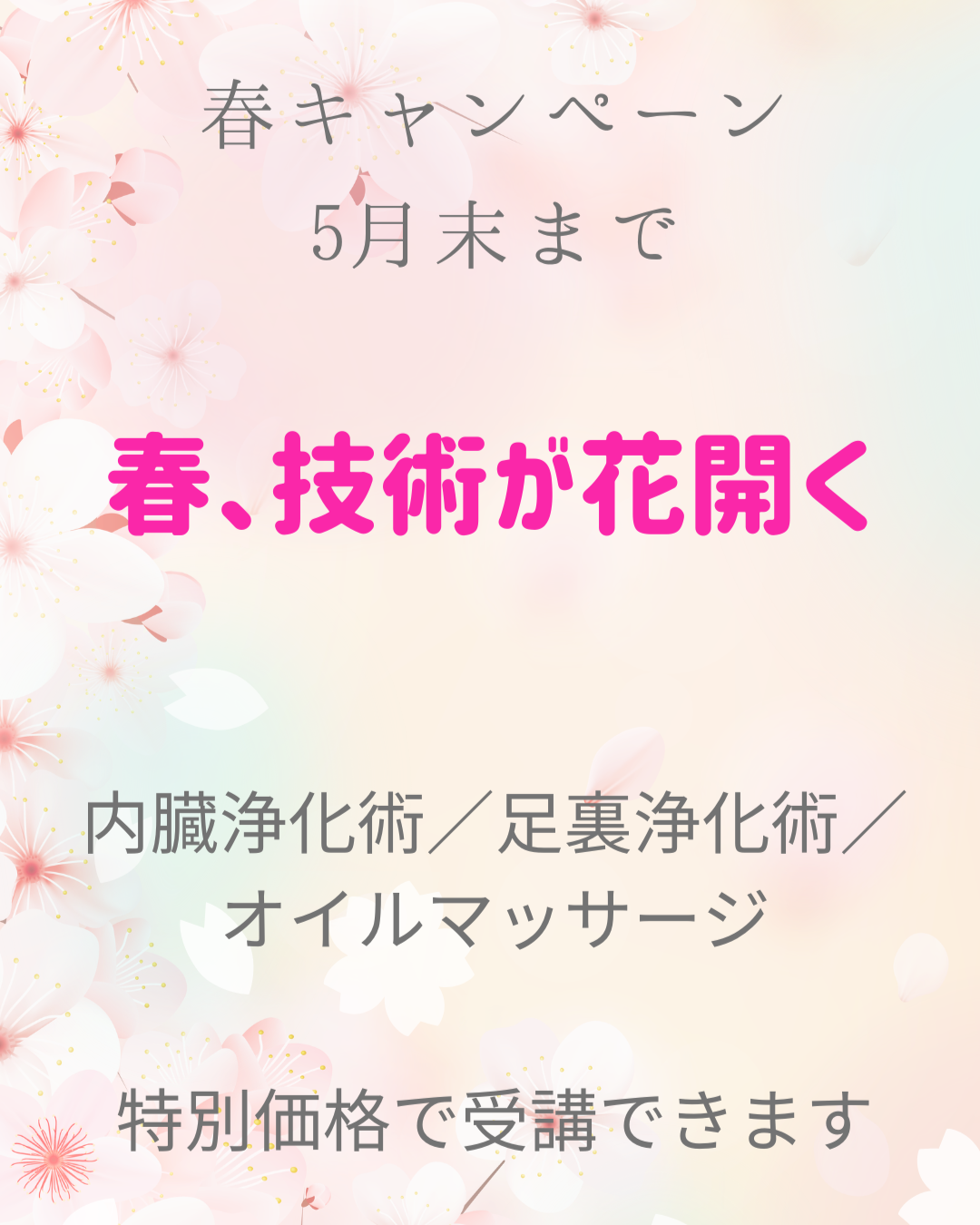 春キャンペーンの告知画像。桜のイラストを背景に『春、技術が花開く』『内臓浄化術・足裏浄化術・オイルマッサージ』『特別価格で受講できます』『5月末まで』と記載されたデザイン。